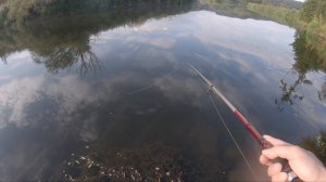 Новинка от BEARKING | на Копию FISHYCAT JUNGLECAT 140 | Обзор на речке