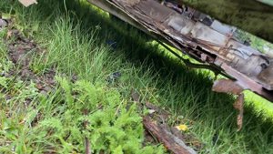 День второй.Ремонт ваз 2110, сварка днища, пороги из профильной трубы, полное восстановление кузова