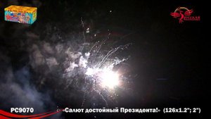 РС9070 Салют достойный президента!
