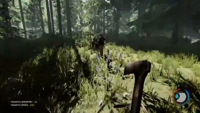 The Forest смотреть онлайн