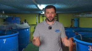 Как правильно ПОДОБРАТЬ И РАССЧИТАТЬ НАСОС для ФЕРМЫ УЗВ | Расчет НАСОСОВ для фермы УЗВ