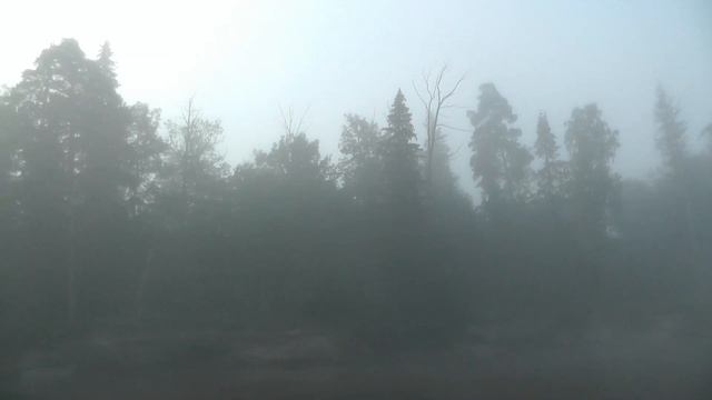 Лух 2014: ежик в тумане смотреть онлайн