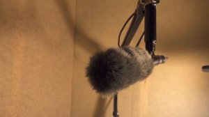 Sony ECM VG1 Microphone Review and Sound Test