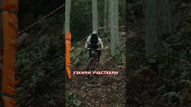 Женский велоспорт вышел из под контроля смотреть онлайн