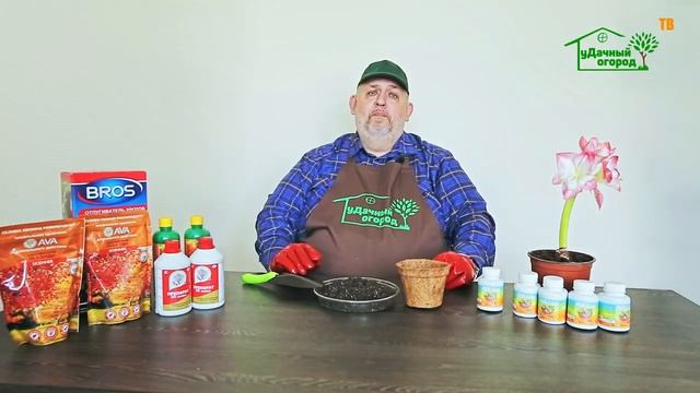 Как повысить всхожесть семян? Внося весеннее удобрение!