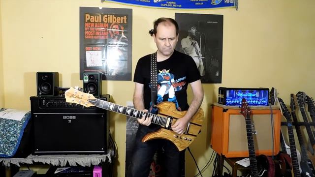 Verbena / B.C. Rich Mockingbird