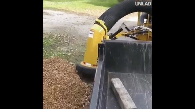 Как убирают листву в Германии , это чудо ? смотреть онлайн