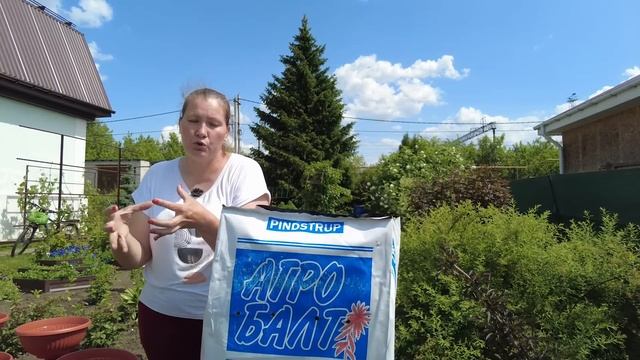 Хотите увидеть сумасшедшее цветение петуний - не экономьте на грунте. Посадка петунии в кашпо!