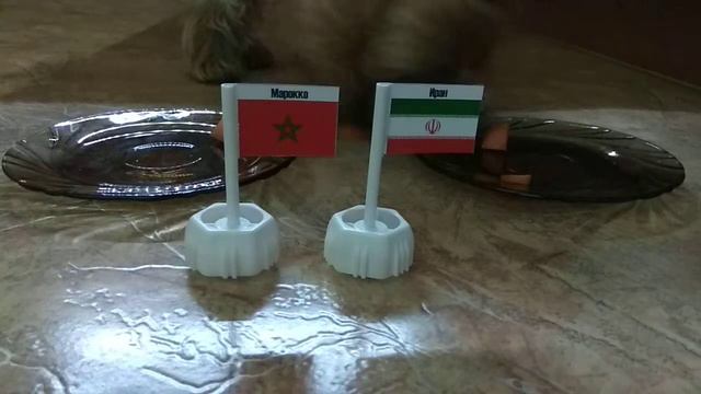 Прогноз на матч Марокко - Иран смотреть онлайн