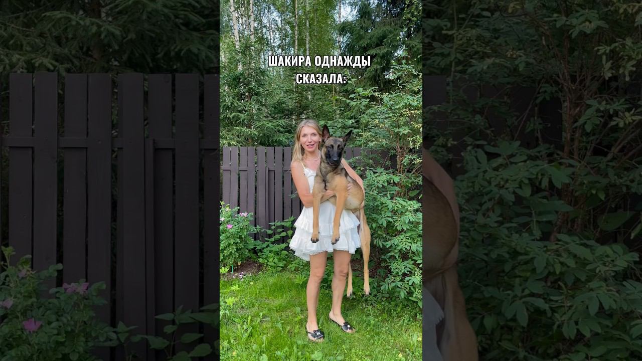 Вместе! #малинуа #прогулкассобакой #собака #лето2024