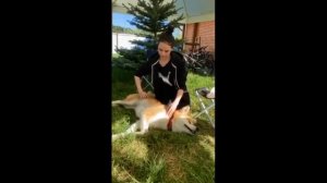 Загитова с собачкой Масару