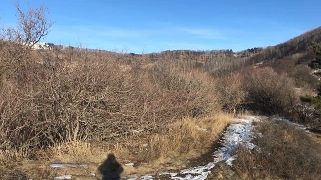 Сказка ложь, да в ней намёк...)) смотреть онлайн