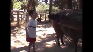 Лама плюет на пацана