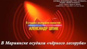 В Мариинске осудили «чёрного лесоруба» / 11.05.2022 г.