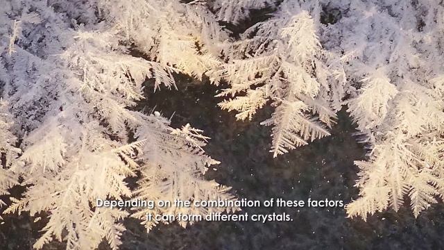 Кристаллическая изморозь (Crystalline rime)