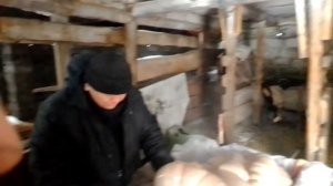 Разделка лошади