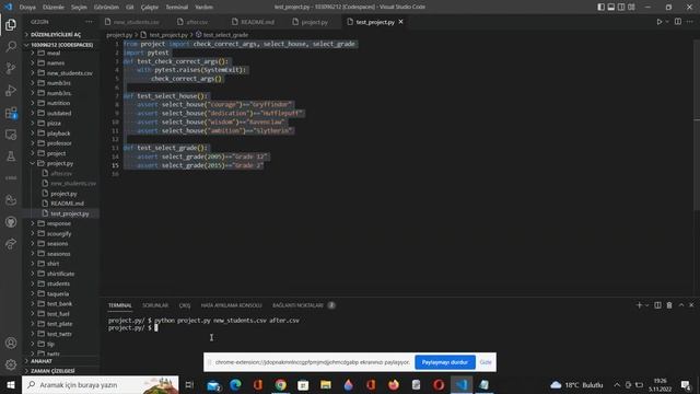 Final Project CS50 Python смотреть онлайн