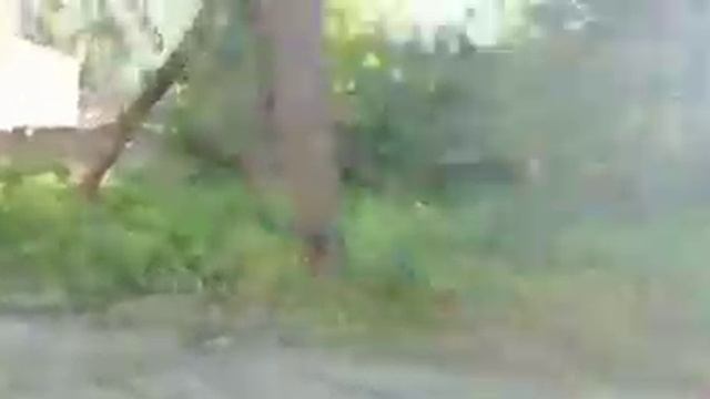 [Обзорчеек] Обзор п. Хомяково
