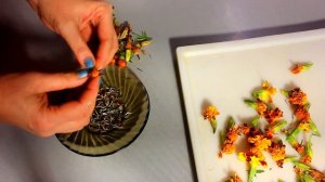 Для чего я выращиваю бархатцы каждый год? Лечебные свойства . Цветы бархатцы ДЛЯ ЗРЕНИЯ!