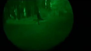 Pulsar Digisight N770a