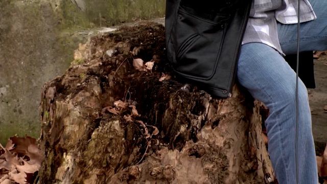 Фильм Карен Мелик-Исраеляна (Հիշում ենք Помним) смотреть онлайн