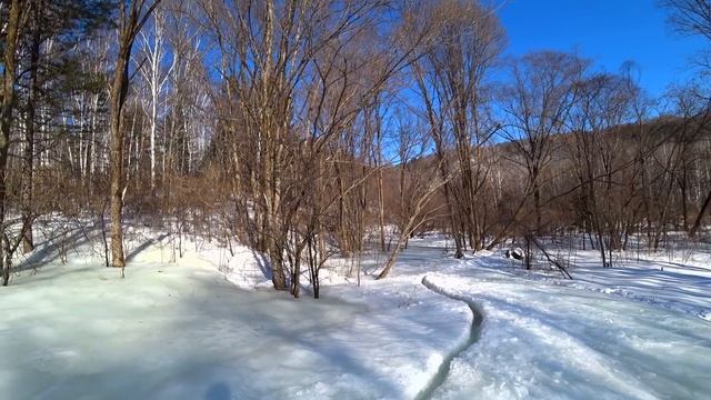 В ТАЙГЕ ДАЛЬНЕГО ВОСТОКА. СДЕЛАЛИ ОЧЕНЬ ВАЖНОЕ ДЕЛО. смотреть онлайн