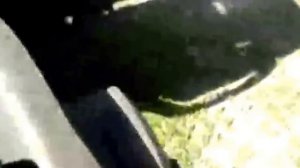 Установка фронтального погрузчика Metal-Fach T-229D.