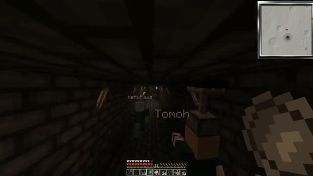 PC Minecraft - Netty's Not So Safe MoonShuie  Ep 21- With Tomohawk and NettyPlays смотреть онлайн