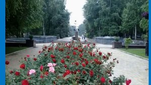 ДОНЕЦК   ГОРОД РОЗ