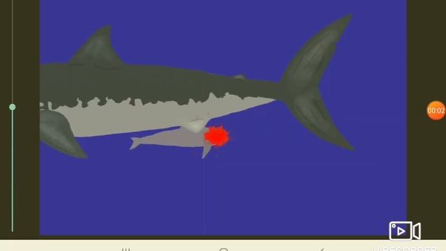 Мегалодон сьел дельфина(дельфин есть в описании и не только дельфин там есть ещё киты) смотреть онлайн