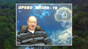 О делении клетки, о ДНК и регенерации