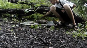 всякая хрень под прессом часть 7