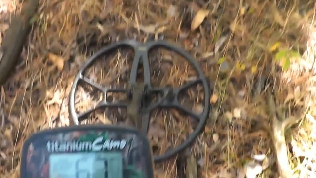 Поиск монет в лесу и у реки смотреть онлайн