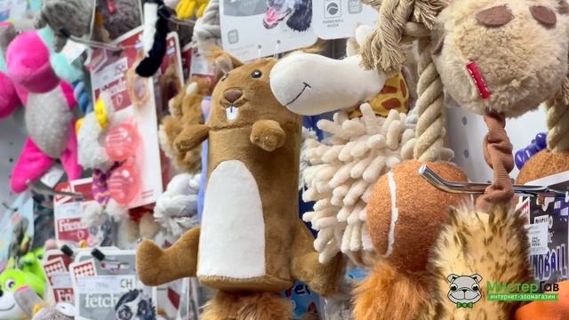 Зоомагазин Мистер Гав, Челябинск смотреть онлайн