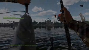 Fishing Planet  ТРОФЕЙНЫЕ СОМЫ ПИЯВКИ ЗАНДЕР БАГЕР