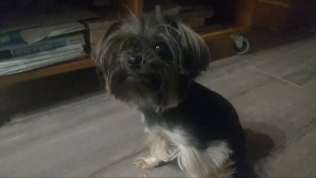 Домовёнок Кузя отправляемся спать смотреть онлайн