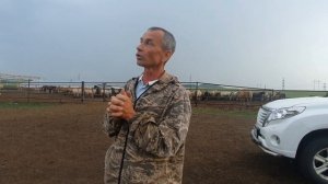 Конный двор Алмакай | Наш Татарстан | Татарские жеребцы | #2