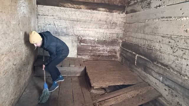 Забой кур. Чистим козовник, Обзор поросят.