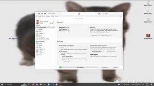 (NEW) HOW TO SIGN *ANY* IPSW FILE! WORKING 2023! (DOWNGRADE)