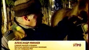 Лосиное молоко