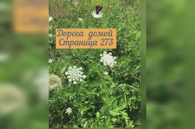 Дорога домой смотреть онлайн