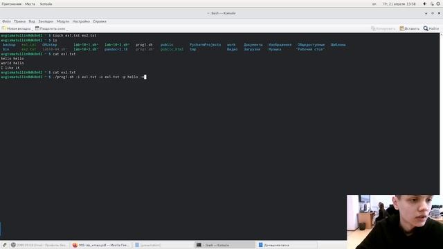 Выполнение лабораторной работы №11