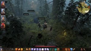 Divinity Original Sin 2#Чернокорень#Blackroot Location