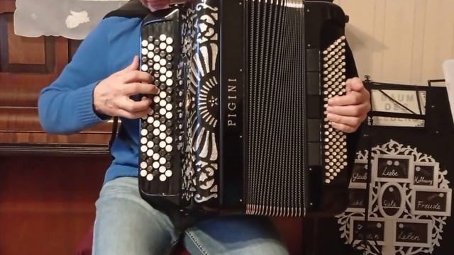 +491788835231 покупка,продажа баяна в Германии,Pigini, 2190 Euro. смотреть онлайн