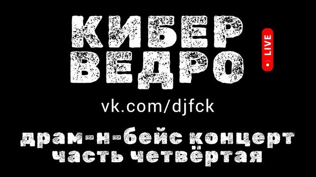 Драм-энд-бейс концерт 2024 - часть четвёртая