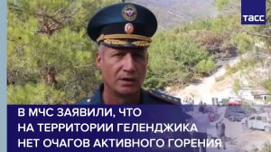 В МЧС заявили, что на территории Геленджика нет очагов активного горения #shorts
