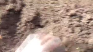 Почвофреза для минитрактора из мотоблока в работе