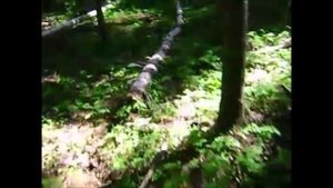 На природе в Коми! 2015 (ВЫГОНКА СМОЛЫ).