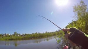 ЛУЧШАЯ В МИРЕ КАТУШКА для спиннинга? Shimano 18 STELLA C2000SHG. Обзор, первый опыт рыбалок.