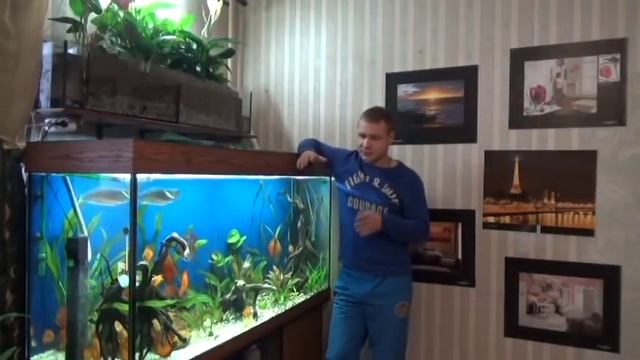 Задолбался сифонить грунт!!!!!!!!!!!(замена грунта на кварцевый песок) смотреть онлайн